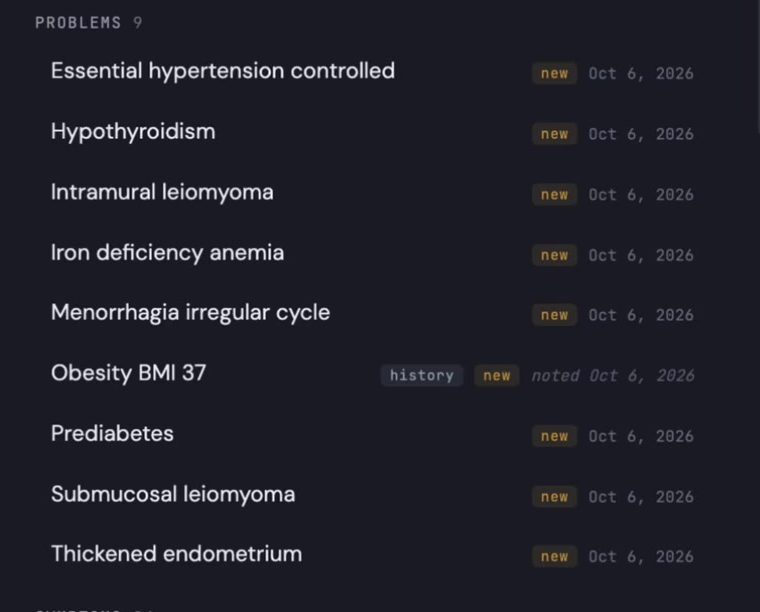 The vault's problem list for the synthetic case: leiomyoma, iron deficiency anemia, menorrhagia